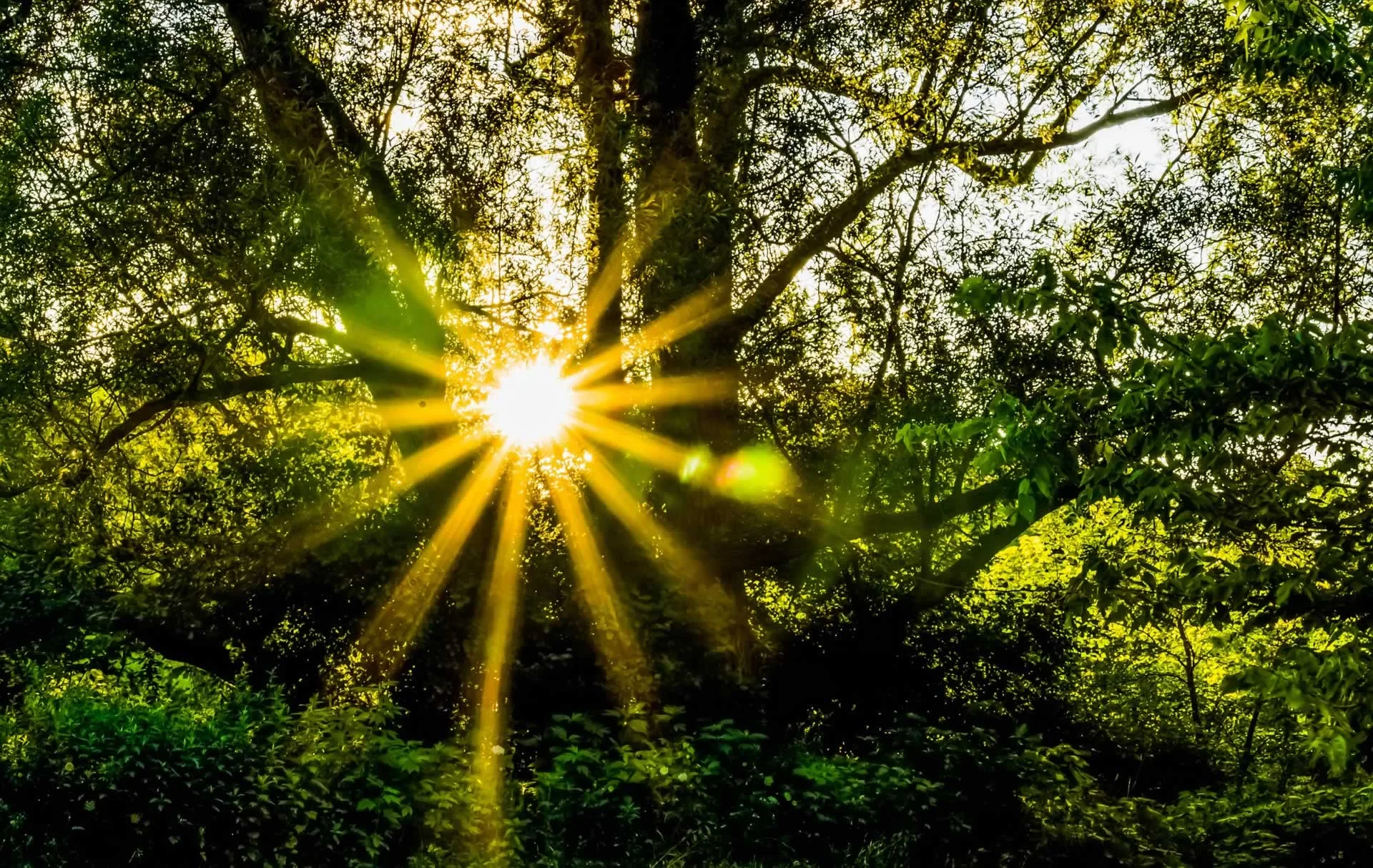 Christine Delgrange - Psychologue facilitratrice Access Consciousness
